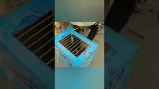 Ловушка для птиц своими руками из картонной коробки!