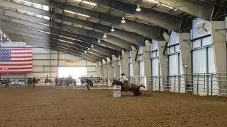 Fairlea Mr Elwood - Futurity March 2021