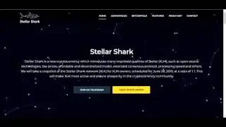 Обзор ico Stellar Shark