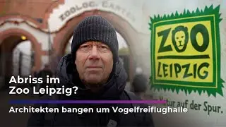Abriss im Zoo Leipzig? Architekten bangen um Vogelhalle