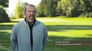 Redox - Experienced In Turf