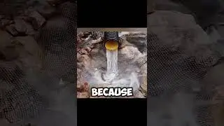 Excellent method fishing 🤯