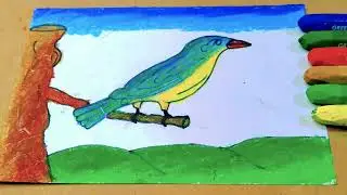 Simple Bird Drawing II Bird Drawing For Beginner II How to Draw a Bird II Bird Drawing Colour