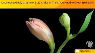 Developing Godly Character | 20 Christian Traits You Need to Grow Spiritually!