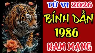 TỬ VI BÍNH DẦN 1986 NAM MẠNG NĂM 2026 – CHI TIẾT TÀI LỘC, CÔNG DANH & VẬN HẠN