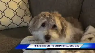 Piper Wishes Every Dogo A Happy National Dog Day