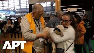 Macron Attends Paris Farm Show Amid Boycott Over EU-Mercosur Deal and Agriculture Protests | APT