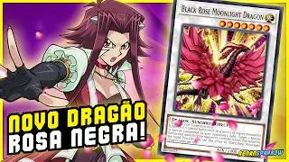 *NOVA VERSÃO* BLACK ROSE DRAGON TÁ DE VOLTA! - Yu-Gi-Oh! Duel Links #2220