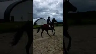 Mambo jumping on angle