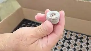 Using Peat Pellets to Start Seeds, Part 1 of 2