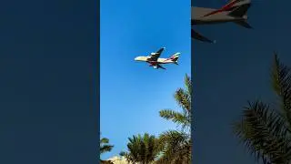 Goodbye 💜 #flight #flightvideo #goodbye #dubai #emirates #emiratesflight