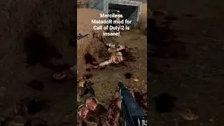 Brutal Call of Duty 2? #callofduty #gaming #mods