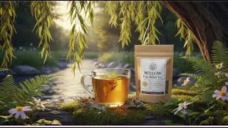 🌿 Say Goodbye to Pain Naturally! Willow Bark Tea That Works Fast 💧