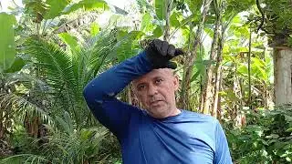 NÃO É SOBRE TRABALHO APENAS É SOBRE A VIDA # Natureza/ @carlosxdoagromais