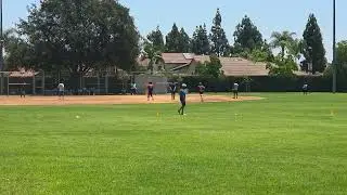 Do you know how to play Cricket? #sports #sportslover #cricket #cricketlover #summer #usa #happy