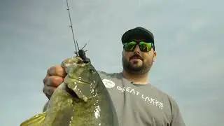 The next great Ned Rig bait &mdash; Great Lakes Finesse Ned Bug