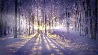 winter garden