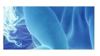 03/01/2023 - 11h49 [Orgasm Project]