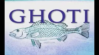 Ghoti forever | Yu-Gi-Oh Master Duel