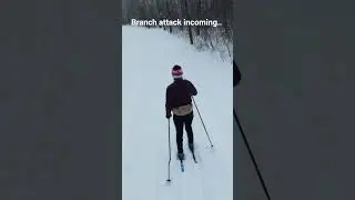 Tree branch VS drone