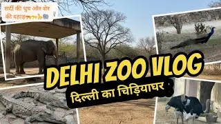Exploring National Zoological Park Delhi | Winter Day Out at Delhi Zoo 🐯🐘 #trending #viralnow 