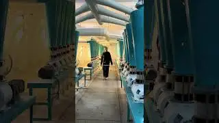 Dummer Flour Mills Faisalabad - DFM - Flour Mill #food #unfrezzmyaccount #flour