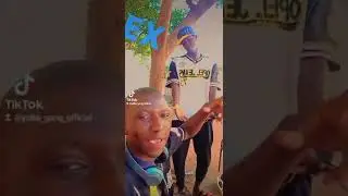 yolta