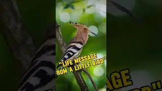 part 31_