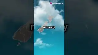 Why New Zealand Has No Snakes! 🐍