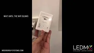 How to pair LEDMO Bulb ?
