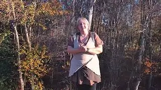 Warum Pilze im Kreis wachsen - ein Herbstmärchen von Pilzen, Tieren und Feen
