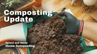 Composting Update 🌿 | See What&rsquo;s Happening Inside My Bin!