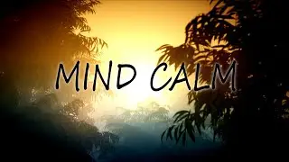 Meditation music for Calm evening/nature video/Sunset Forest