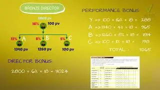 Vestige Bronze 🥉 Director Income calculation & Leg Formation 💪