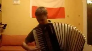 Love theme from Godfather- accordion version- akordeon