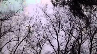 Wind and rain in Fair Oaks CA