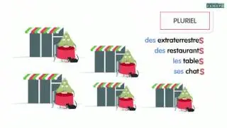 le nombre du nom singulier pluriel
