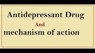 Pharmacology of Antidepressant drug !! Pharmacy Hunt !!