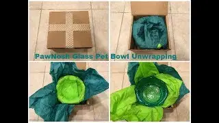 PawNosh Glass Pet Bowl Unwrapping - An Ideal Cat Lovers Gift Idea - Floppycats