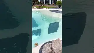 BEACH POOL - Luxus Strandpool mit Sandstrand-Einstieg | Naturpool Strandoptik im eigenen Garten