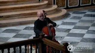 Concierto Solidario #UnidosPorLaDANA streaming