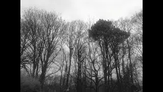 Ghost walk, activity found?