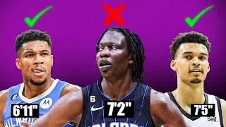 How Bol Bol WASTED His Potential...