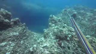 sortie p&ecirc;che sous marine avec un statoroller 100 bois et un statoroller 80 bois