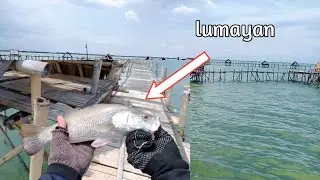 Lumayan mancing bagan pinggir pulau cangkir