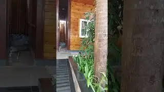 The SinQ party Hotel - Goa
