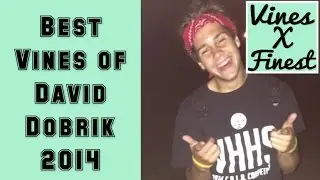 Best Vines of David Dobrik 2014 Compilation