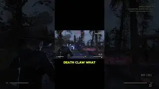 Fallout 76 Noob Moments #fallout