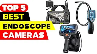 Top 5 Best Endoscope Cameras Reviews of 2024