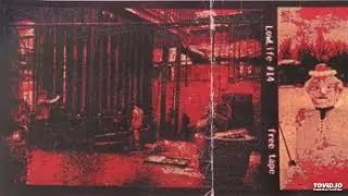 A8 Shaking Ray Levis - 